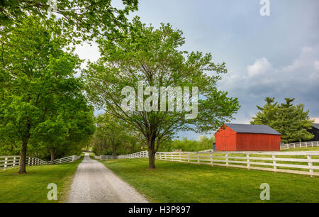 Unsere, Kentucky: Von Bäumen gesäumten Gasse im Shaker Village of Pleasant Hill Stockfoto