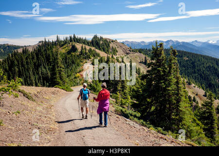 Wanderer auf Hurricane Ridge Trail - Olympic Nationalpark, Washington Stockfoto