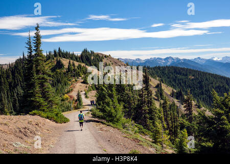 Wanderer auf Hurricane Ridge Trail - Olympic Nationalpark, Washington Stockfoto