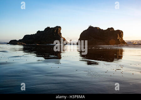 Meer-Stacks auf Ruby Beach - Olympic National Park in der Nähe von Forks, Washington; USA Stockfoto