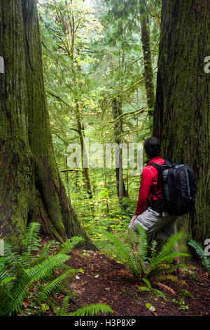 Elk Falls Provincial Park und geschützten Bereich - Campbell River, Vancouver Island, British Columbia, Kanada Stockfoto