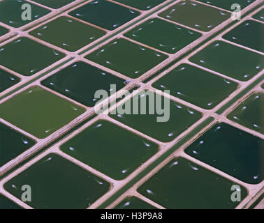 Kläranlage, Stockfoto