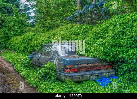 Ein altes verlassenes Auto in überholt durch die Natur. High Dynamic Range Image. Stockfoto