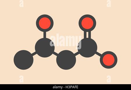 Beta-Hydroxybutyric Säure (Beta-Hydroxybutyrat) Molekül. Stilisierte Skelettformel (chemische Struktur). Atome sind als farbcodierte Kreise dargestellt: Wasserstoff (versteckt), Kohlenstoff (grau), Sauerstoff (rot). Stockfoto