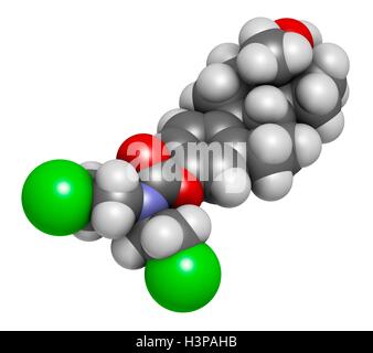 Estramustine Prostatakrebs Chemotherapie Wirkstoffmolekül. Atome werden als Kugeln mit konventionellen Farbkodierung dargestellt: Wasserstoff (weiß), Kohlenstoff (grau), Stickstoff (blau), Chlor (grün). Stockfoto