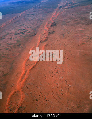 Tanami Wüste Vegetation: Spinifex, Wüste Eichen und Akazien, Stockfoto