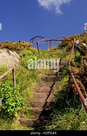 Krummen Handlauf auf Stufen hinauf auf den Klippen am Froward Punkt. Stockfoto