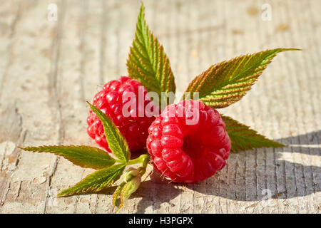 Frische Himbeeren Vith verlässt am Holztisch. Stockfoto