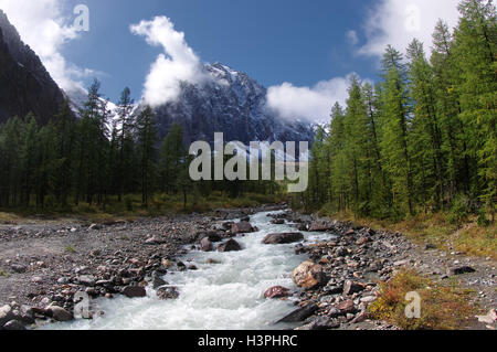 Mountain river stream im Tal zwischen den Felsen und Lärchen auf einem Hintergrund der schneebedeckten Berge, die unter dem blauen Himmel Stockfoto