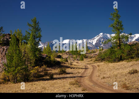 Straße über das Feld mit trockenen gelben Gras und Grün Lärche auf dem Felsen auf dem Hintergrund der weiße Schnee eis Gebirge Stockfoto
