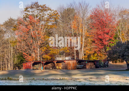 Landschaftlich eine Scheune voller Farmelemente und Heizung Brennholz, buntes Herbstlaub und Frost auf dem Boden im winter Stockfoto