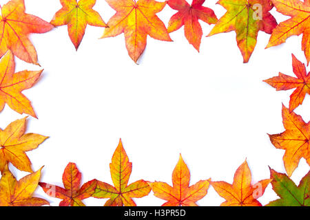 Buntes Herbstlaub Rahmen isoliert auf weißem Hintergrund Stockfoto