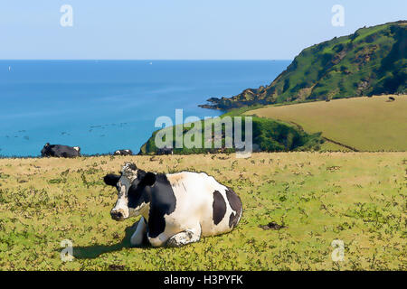 Kornische Landschaft und Küste mit schwarzen und weißen Milchkuh Stockfoto