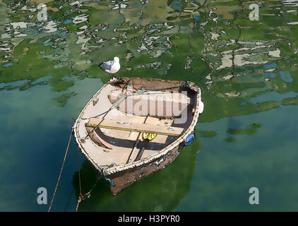 Alte hölzerne Beiboot Ruderboot mit Möwe Stockfoto
