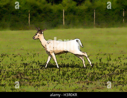 Rothirsch New Forest Hampshire England uk English Country Szene Abbildung wie Zeichentrick-Effekt Stockfoto