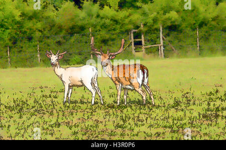 Weißen und roten Hirsch New Forest Hampshire England uk English Country Szene Abbildung wie Zeichentrick-Effekt Stockfoto