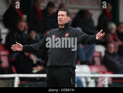 AFC unterstützt Manager Jim McFarlane - AFC unterstützt Vs Horsham - Ryman League Premier Division Fußball im Stadion - 13.03.10 Stockfoto