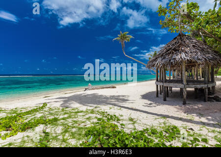 Tropischen lebendige Naturstrand auf Samoa-Insel mit Palme und fale Stockfoto