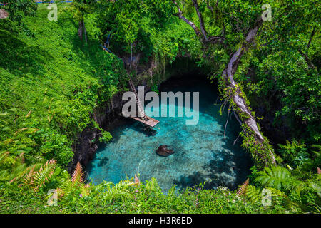 Um Sua Ozeangraben - berühmte Loch, Upolu, Samoa, Südsee schwimmen Stockfoto