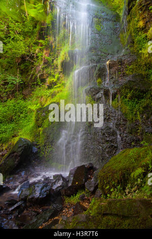 Mallyan Auslauf Wasserfall / Mallyan Auslauf Wasserfall am Goathland in den North York Moors Nationalpark fließt in West-Beck, Stockfoto