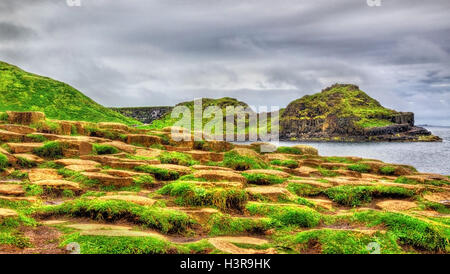 Blick auf den Giant es Causeway, ein UNESCO-Weltkulturerbe in Nordirland Stockfoto