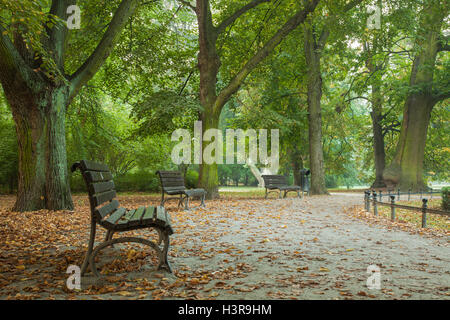 Herbstmorgen im Park Poludniowy (South Park), Wroclaw/Breslau, Schlesien, Polen. Stockfoto