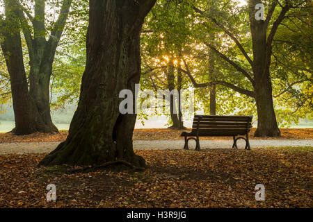 Herbstmorgen Park Poludniowy (South Park) in Breslau, Schlesien, Polen. Stockfoto