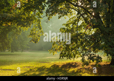 Herbstmorgen im Park Poludniowy (South Park) in Breslau, Niederschlesien, Polen. Stockfoto