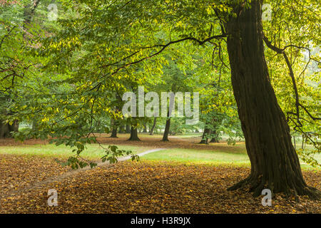 Herbstmorgen im Park Poludniowy (South Park) in Breslau, Niederschlesien, Polen. Stockfoto