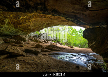 Petit Jean Staatspark, Arkansas: Haus Felsenhöhle Interieur. Stockfoto