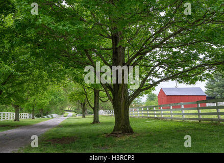 Unsere, Kentucky: Ansichten von der Shaker Village von Pleasant Hill Stockfoto