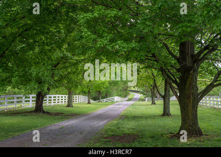 Unsere, Kentucky: Ansichten von der Shaker Village von Pleasant Hill Stockfoto