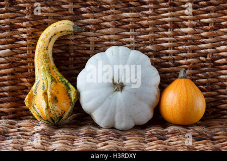 Vielzahl von verschiedenen Kürbissen in einem geflochtenen Hintergrund, Halloween Stockfoto