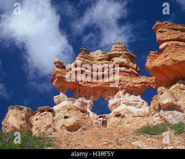 Die USA "Bryce-Canyon-Nationalpark, Utah, Dragon rock in Mossy Cave-Trail, Galle Bildung, bewölkter Himmel, außerhalb Stockfoto