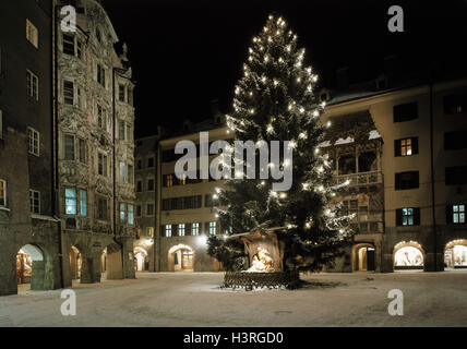 Österreich, Tirol. Innsbruck, Altstadt, Goldenes Dachl, Weihnachtsbaum, Abend, Europa, Westösterreich, Nordtirol, Stadt, Hauptstadt des Bundesstaates, Stadtbild, Prunk-Erker, 1494-1496, Struktur, Erker, Baustil, spätgotisch, Architekt Nikla Tür Stockfoto