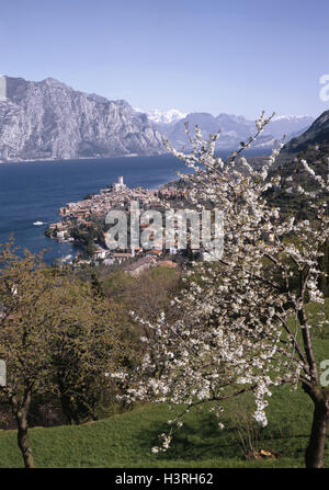 Italien, Gardasee, Malcesine, lokale Übersicht, Frühling, Europa, Norditalien, Lombardei, Gardasee Tu, Urlaubsort, Stadt, Blick auf die Stadt, Hafenbecken, Schloss, Sehenswürdigkeit, Urlaub, Reiseziel, Reiseziel, Saison, Frühling, frühlingshafte, Klima, Mediterr Stockfoto