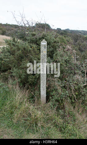 Süd-west Küste entlang Wegweiser für Chardown Hill und Golden Cap. Stockfoto