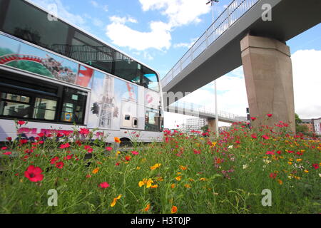 Eine schöne Städtische wildflower Meadow auf Park Square Kreisverkehr im Stadtzentrum von Sheffield, Nordengland an einem schönen Sommertag Stockfoto