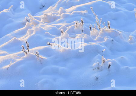 Cranberry Hill schneebedeckt im Lichte der Morgen Sonne frost Stockfoto