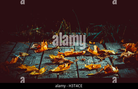 Schöne geheimnisvolle Hintergrund mit gefallenen Ahornblätter auf dem alten Boards für den Tag von Halloween. Soft Focus. seichte dof Stockfoto