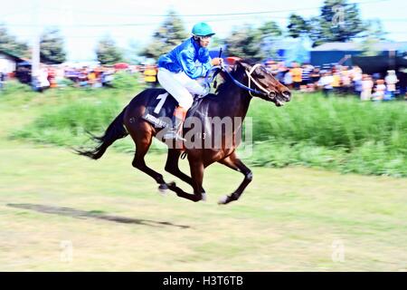 Pferderennen Stockfoto