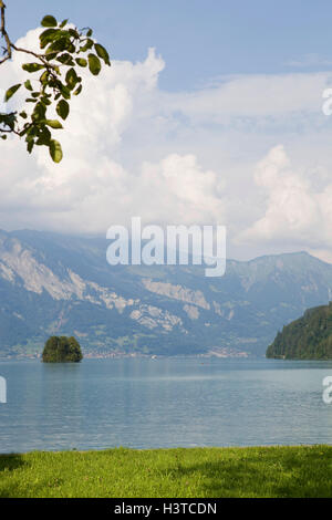 Alpine Brienzersee der Jungfrauregion, gesehen von Iseltwald in der Schweiz Stockfoto