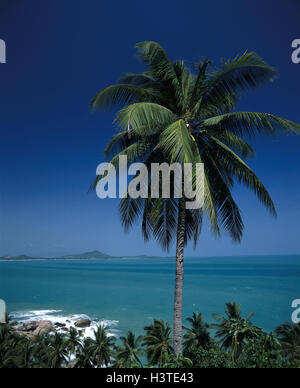 Thailand, Ko Samui, Küste, Palmen, Urlaubsziel, Ferienort, Urlaubsort, Urlaub, Sommer, Meer, Wasser, Palmen Stockfoto