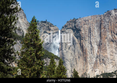 Upper Yosemite Falls unter einem strahlend blauen Himmel Stockfoto