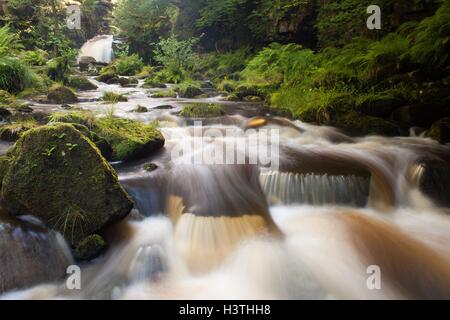 Thomason Foss und Kaskaden auf Eller Beck in den North York Moors National Park. Stockfoto