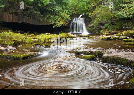 Westen Burton stürzen oder Kessel Kraft, am Rande des Wensleydale in Yorkshire Dales National Park. Stockfoto