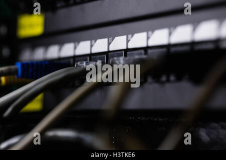 Nahaufnahme von Ethernet in Steckdose angeschlossen Stockfoto