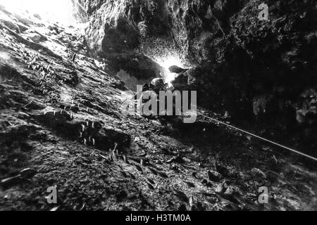 Cave Diver in Höhle Cenote, Yucatan Tulum Mexiko Stockfoto