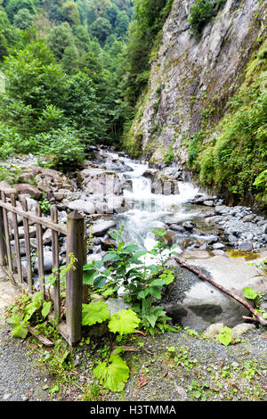 Holzbrücke und Pflanzen auf der Tar River Wasserfall in der Nähe von Camlihemsin, Rize, Türkei Stockfoto