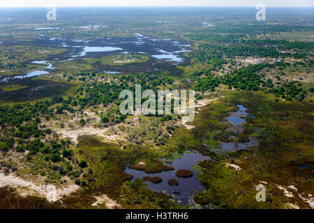 Luftaufnahme, Okavango Delta, Botswana Stockfoto